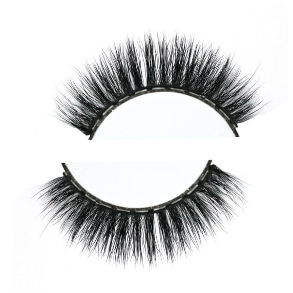 10 Magnetic Lashes | Best Ten Magnets Lashes